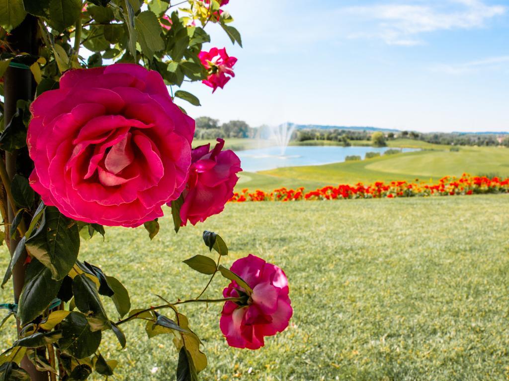 Garda Hotel San Vigilio Golf Pozzolengo Dış mekan fotoğraf